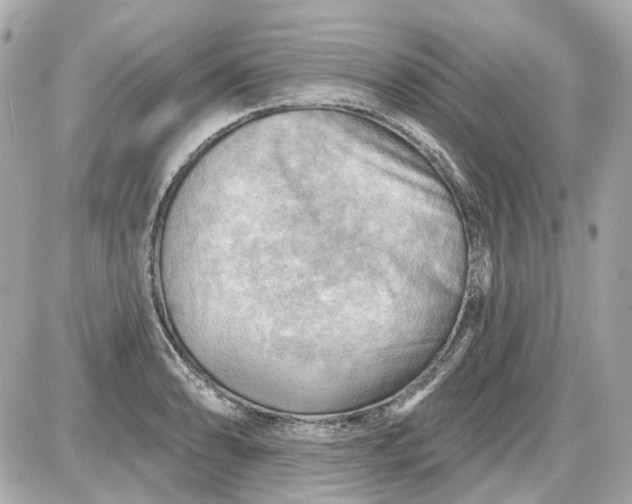 X0000087591086200705112257