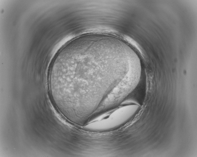 X0000087591087200705112257