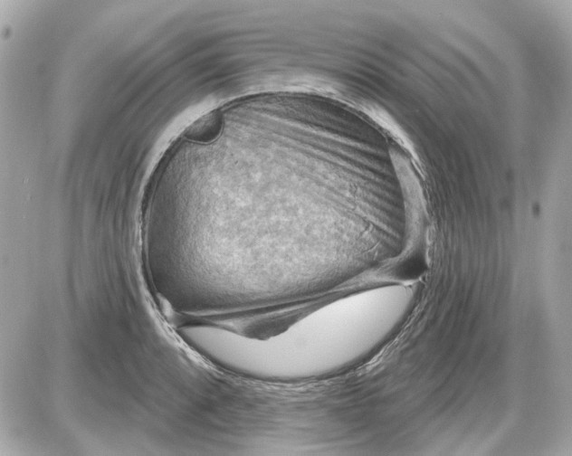 X0000087591088200705112257