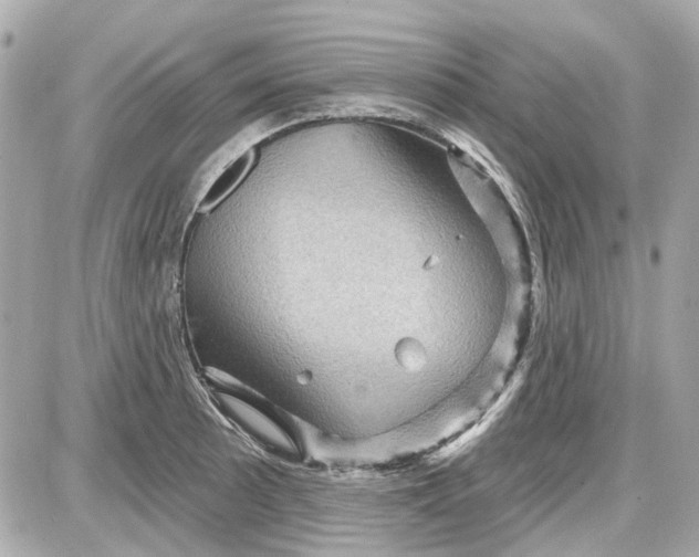 X0000087591089200705112257