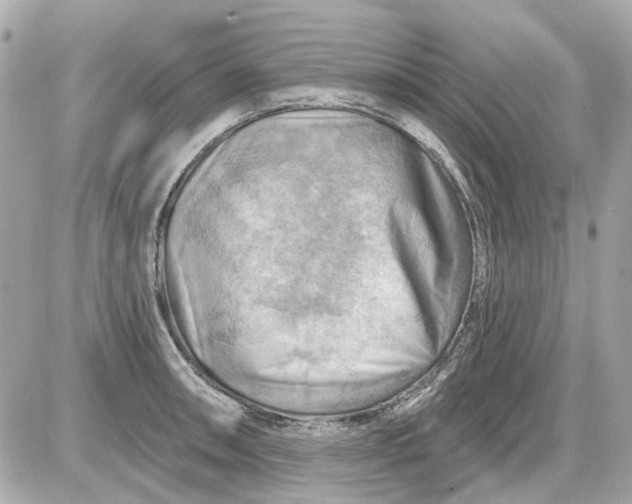 X0000087591090200705112257