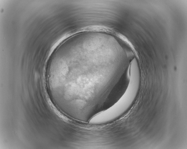 X0000087591091200705112257