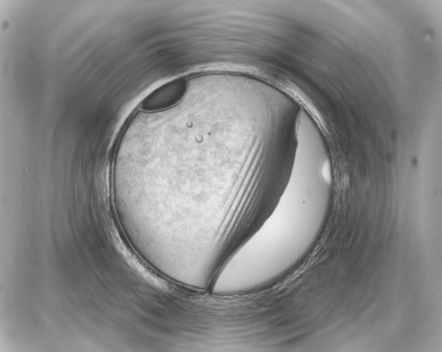 X0000087591092200705112257