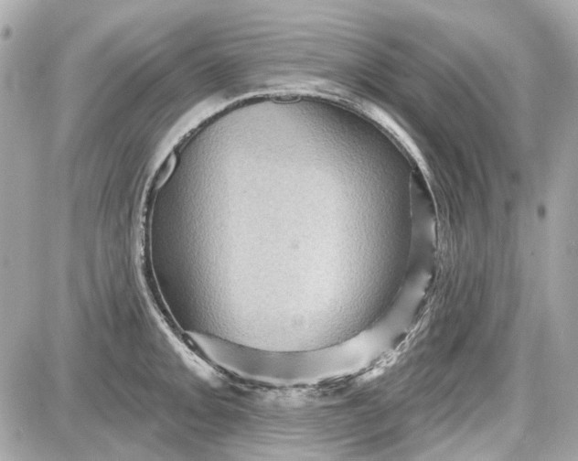 X0000087591093200705112257