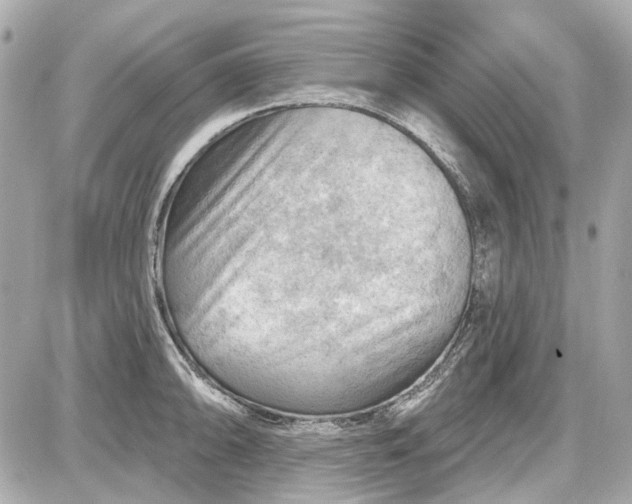 X0000087591094200705112257