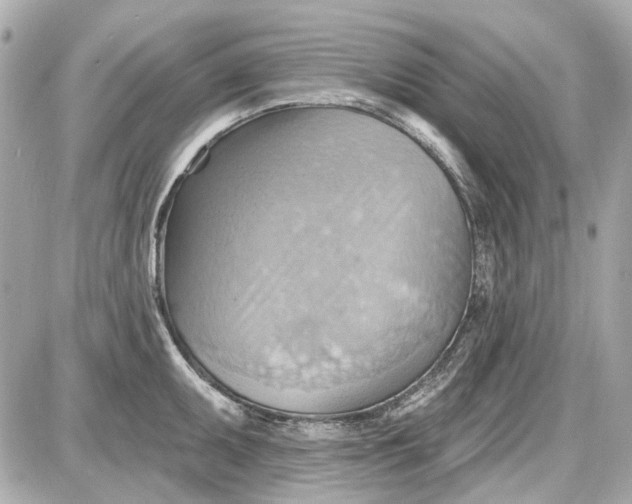 X0000087591095200705112257