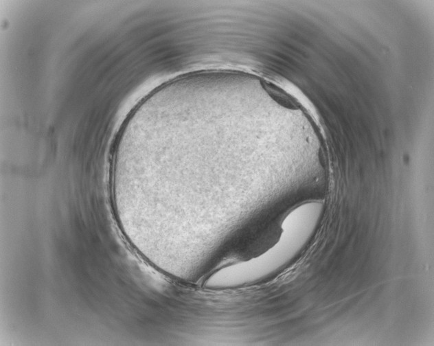 X0000087591096200705112257