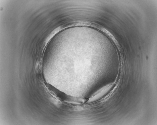 X0000087591097200705112257