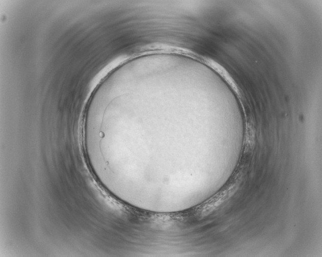 X0000087591098200705112257