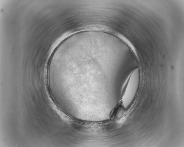 X0000087591099200705112257