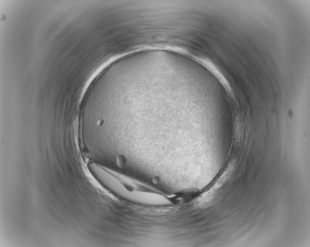 X0000087591100200705112257