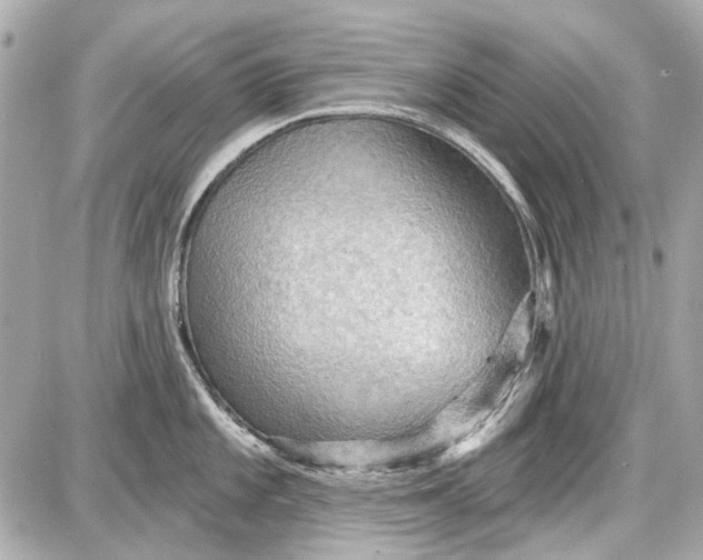 X0000087591101200705112257