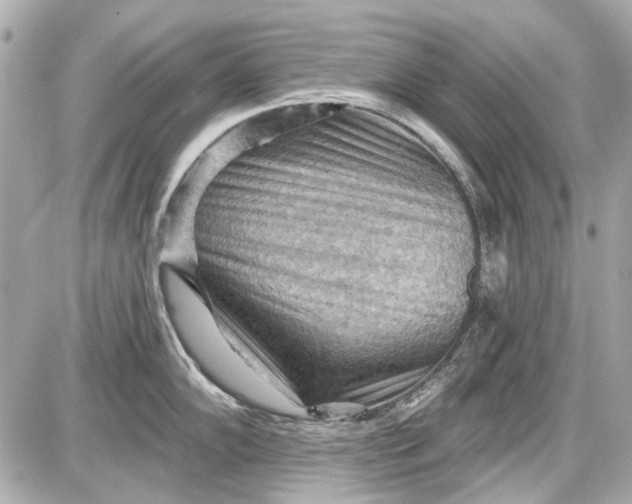 X0000087591102200705112257