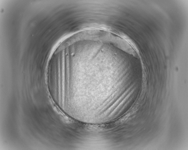 X0000087591104200705112257