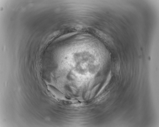 X0000087591105200705112256