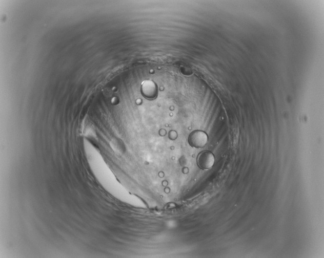 X0000087591106200705112256