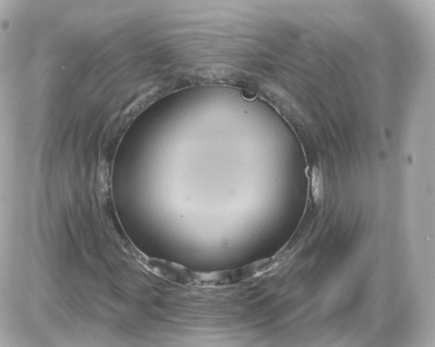 X0000087591107200705112256