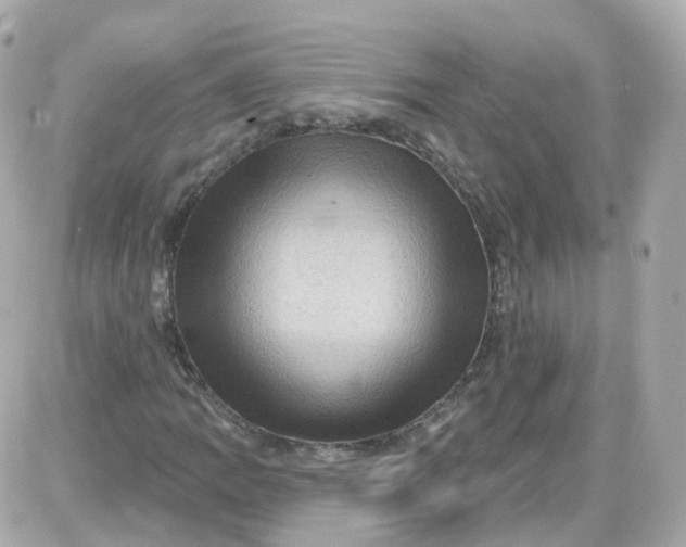 X0000087591109200705112256