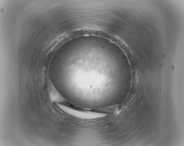 X0000087591110200705112256