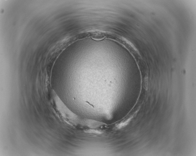 X0000087591111200705112256