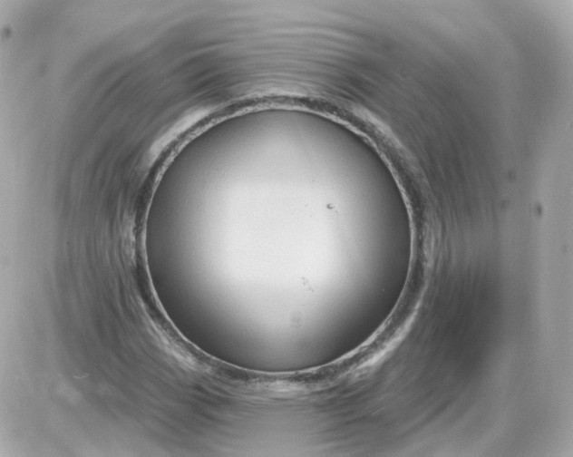 X0000087591113200705112256