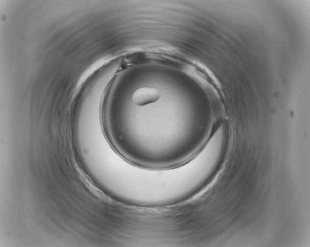 X0000087591114200705112256