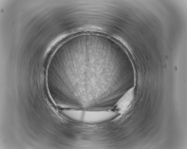 X0000087591115200705112256