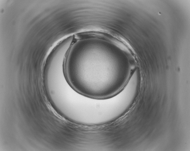 X0000087591116200705112256