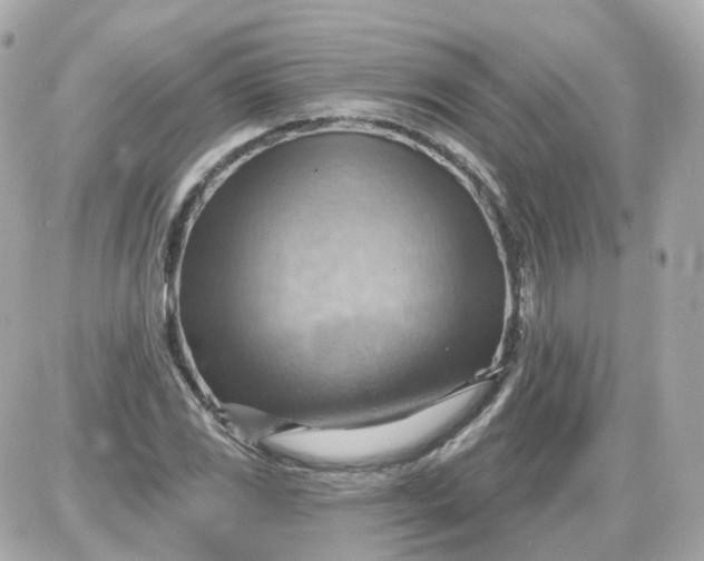 X0000087591117200705112256