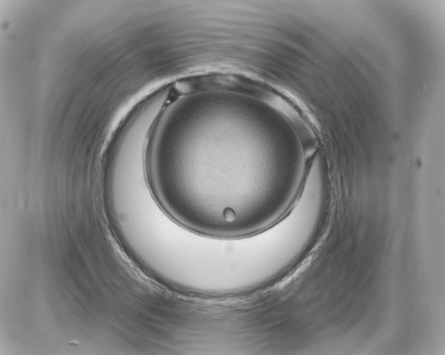 X0000087591118200705112256