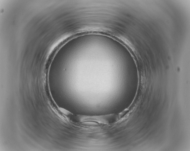 X0000087591119200705112256