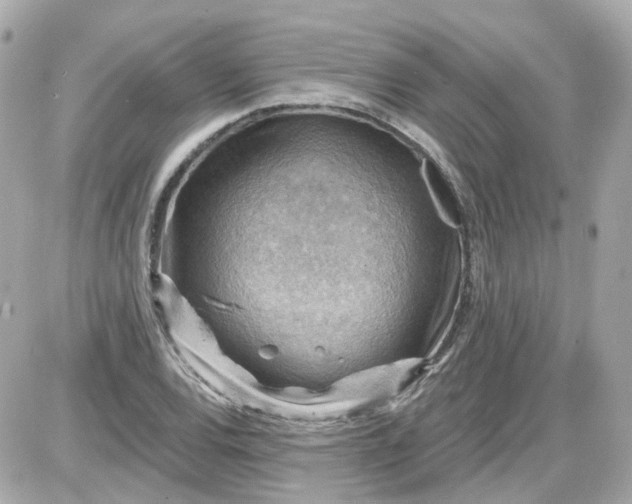 X0000087591120200705112256