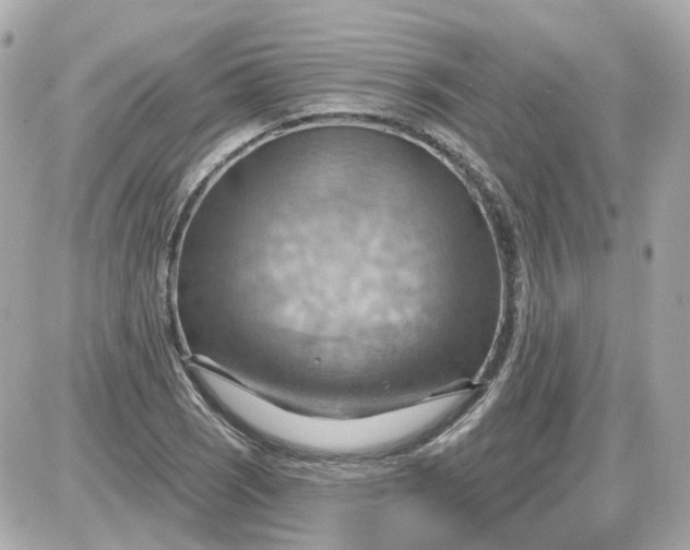 X0000087591121200705112256