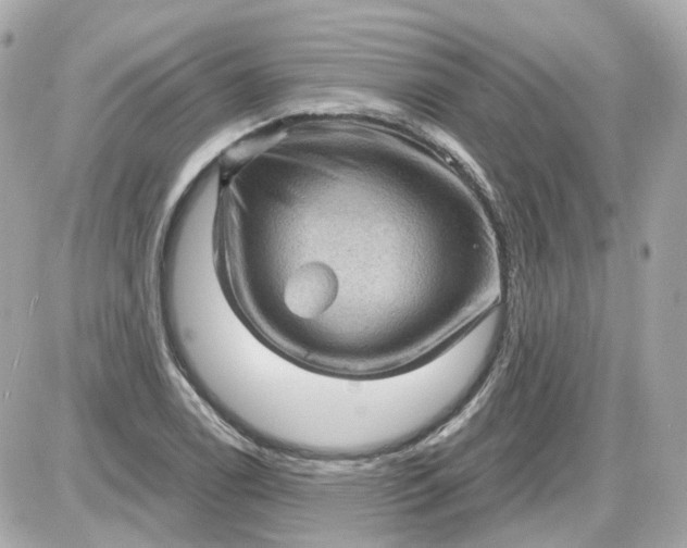 X0000087591122200705112256