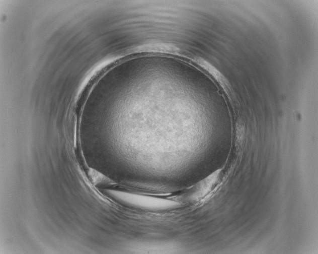 X0000087591123200705112256