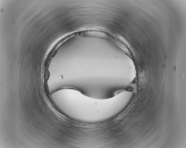 X0000087591124200705112256