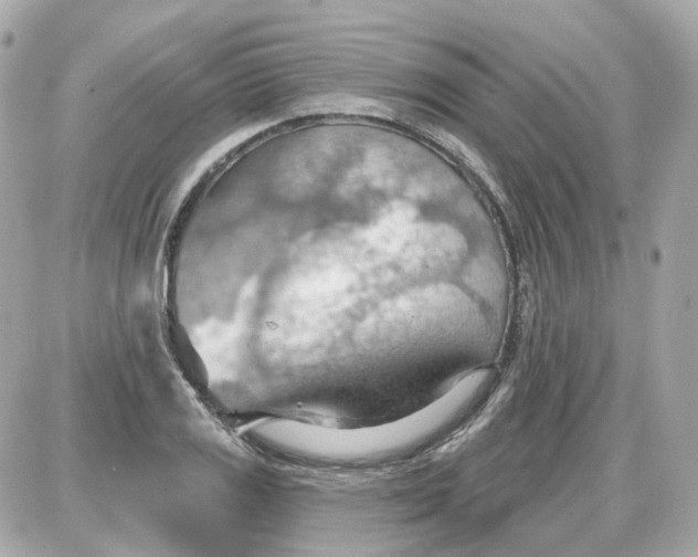 X0000087591125200705112256