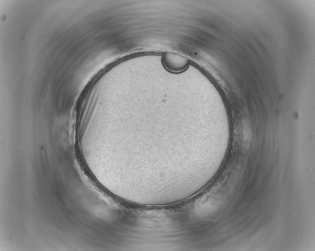 X0000087591126200705112256