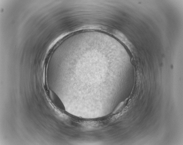 X0000087591127200705112256