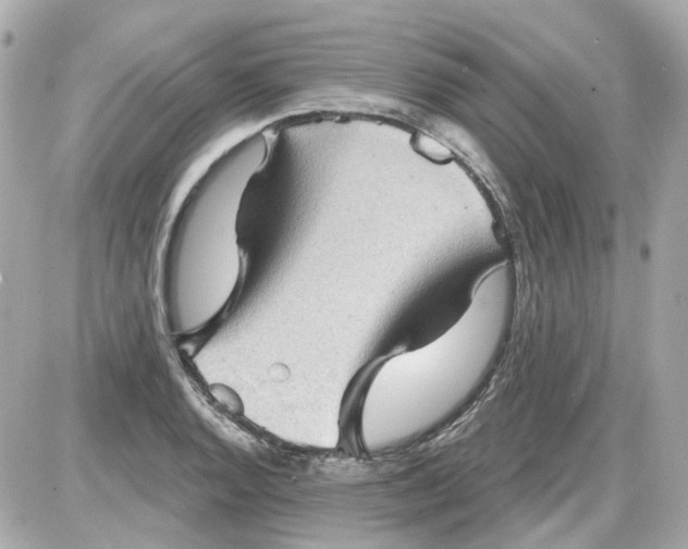 X0000087591128200705112256