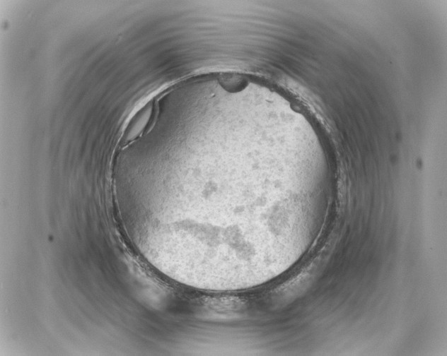 X0000087591129200705112256