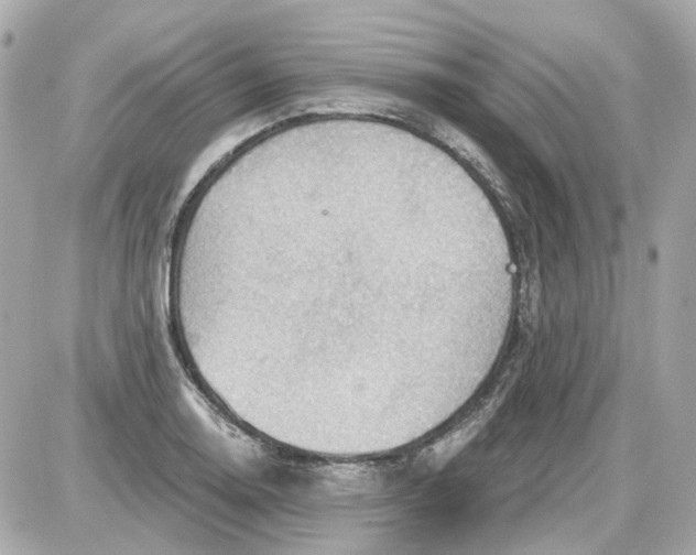 X0000087591130200705112256