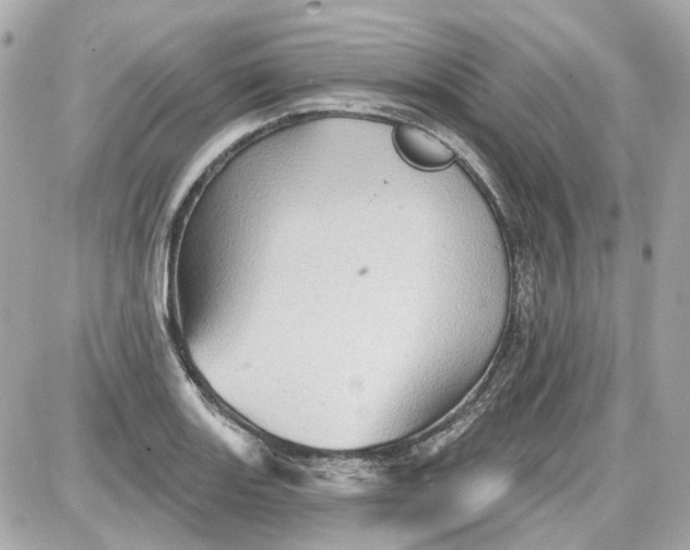 X0000087591131200705112256