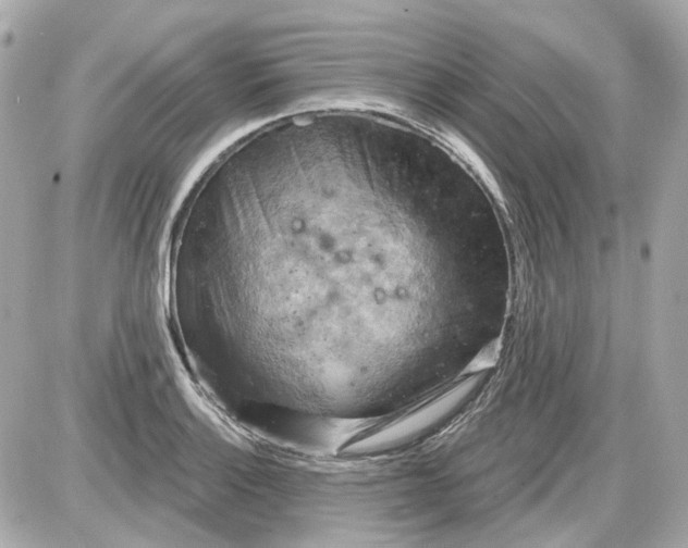 X0000087591132200705112256