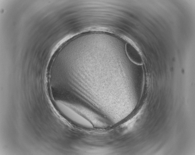 X0000087591133200705112256