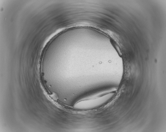 X0000087591134200705112256