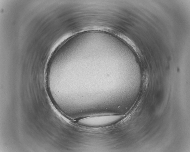 X0000087591135200705112256