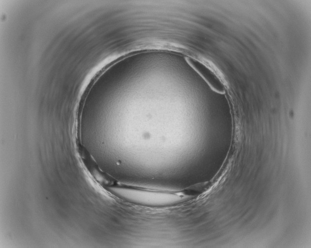 X0000087591136200705112256