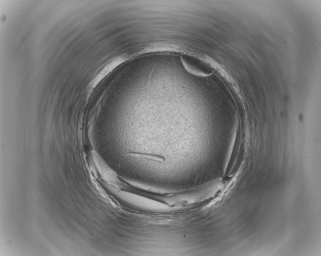 X0000087591137200705112256