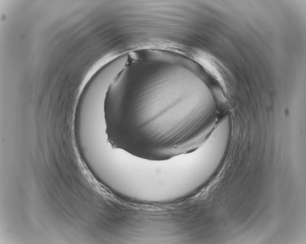 X0000087591138200705112256